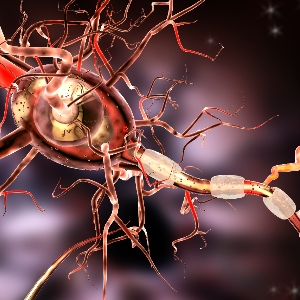 Update Multiple Sklerose: Die therapeutischen Möglichkeiten erweitern sich